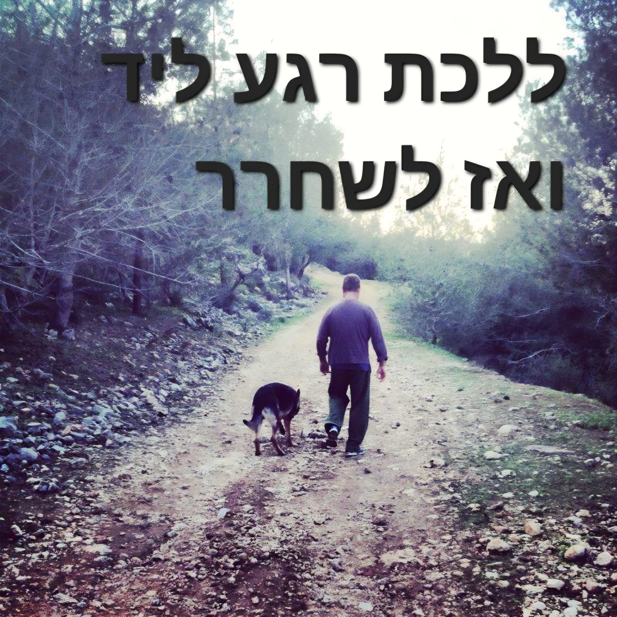 ללכת רגע ליד ואז לשחרר