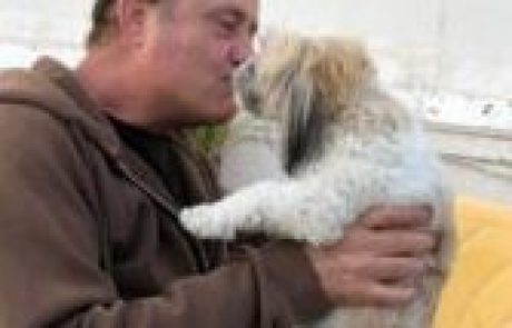 חיי כלב בעיר הגדולה